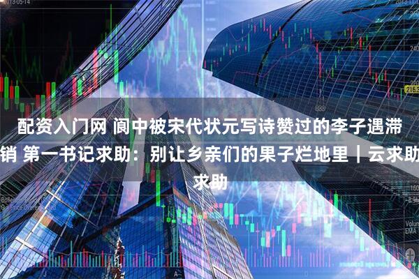 配资入门网 阆中被宋代状元写诗赞过的李子遇滞销 第一书记求助：别让乡亲们的果子烂地里｜云求助