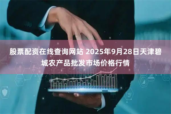 股票配资在线查询网站 2025年9月28日天津碧城农产品批发市场价格行情